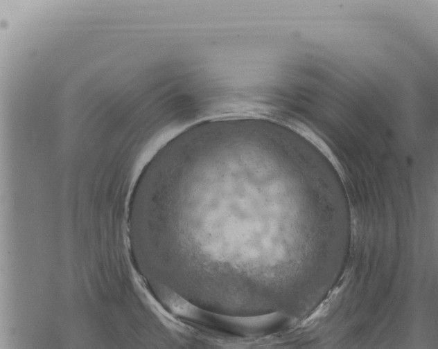 X0000068841485200605121354