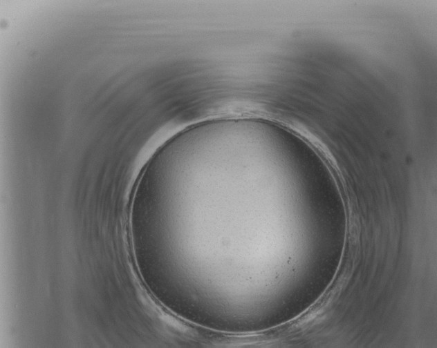 X0000068841486200605121354