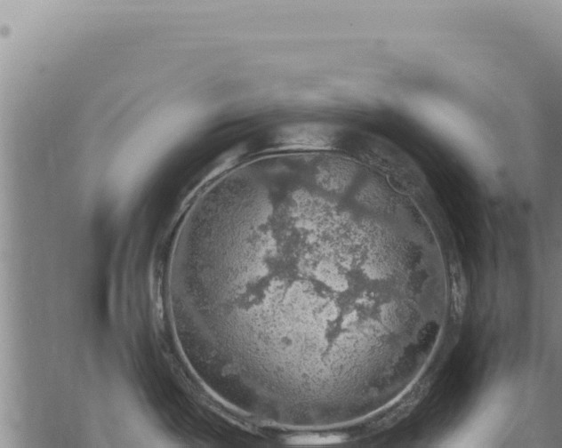 X0000068841487200605121354