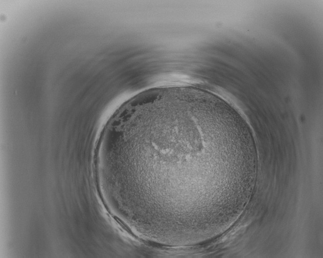 X0000068841488200605121354