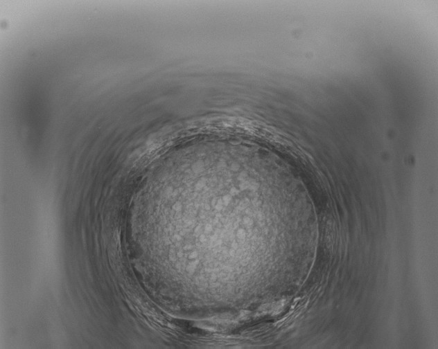 X0000068841489200605121353