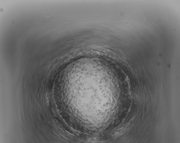 X0000068841490200605121353