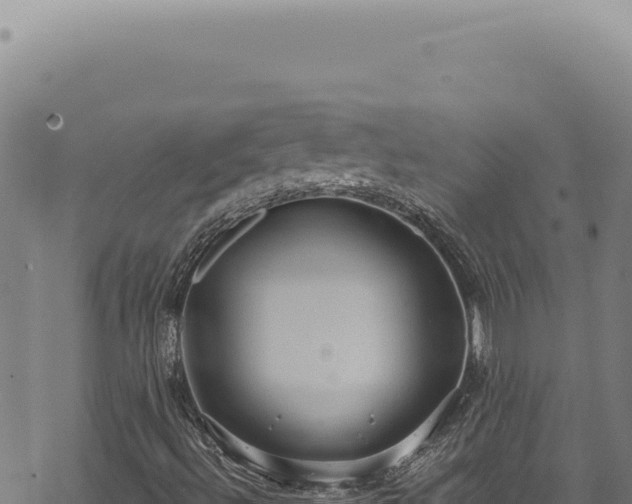 X0000068841492200605121353