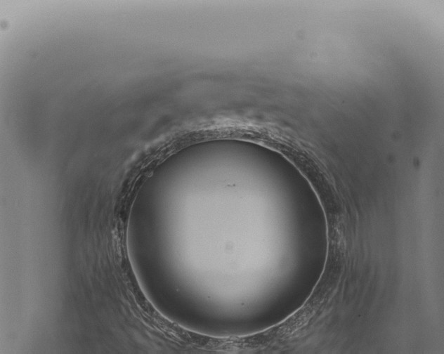 X0000068841493200605121353