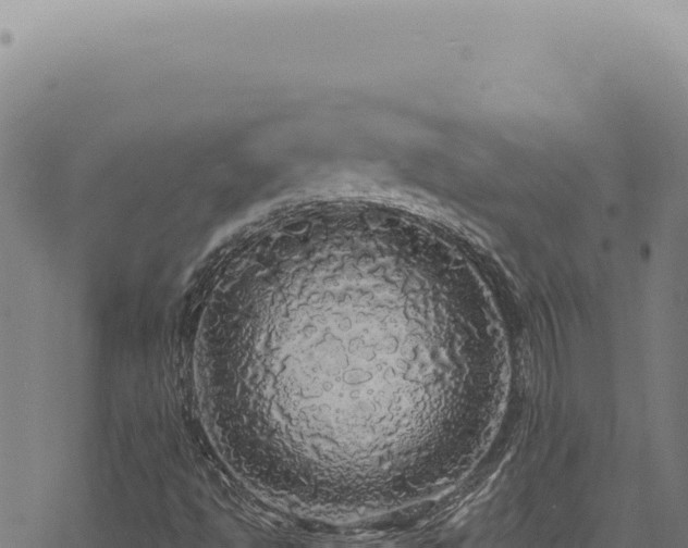 X0000068841494200605121353