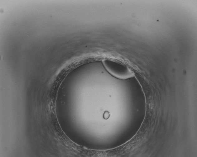 X0000068841495200605121353