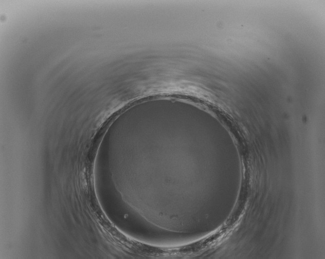 X0000068841497200605121353