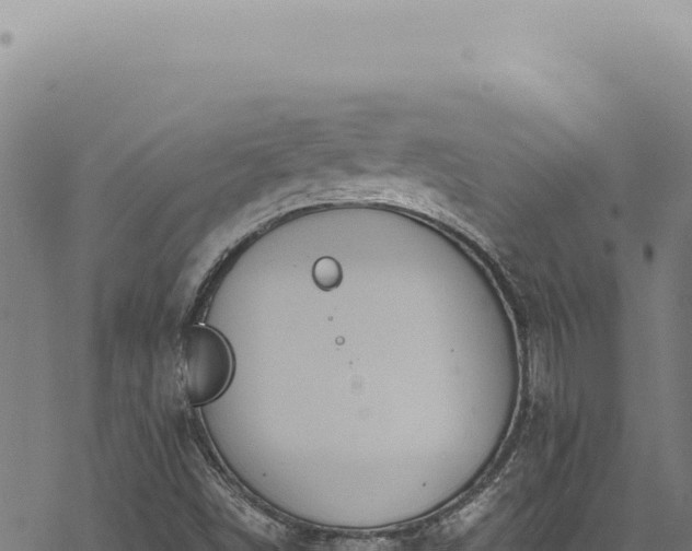 X0000068841498200605121353