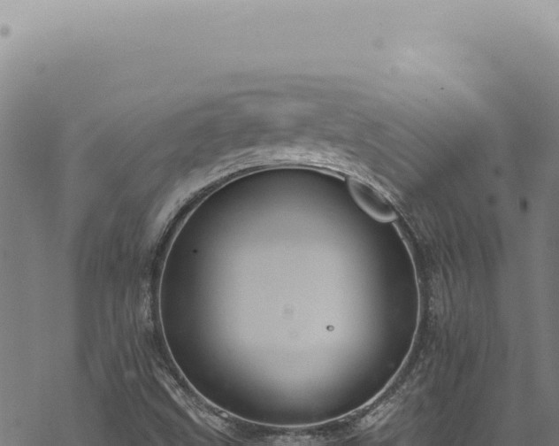 X0000068841499200605121353