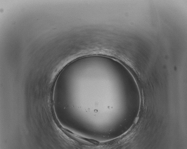 X0000068841500200605121353