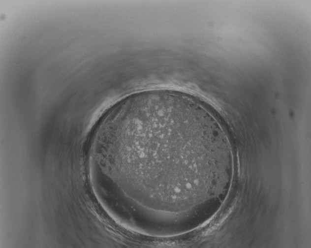 X0000068841501200605121353