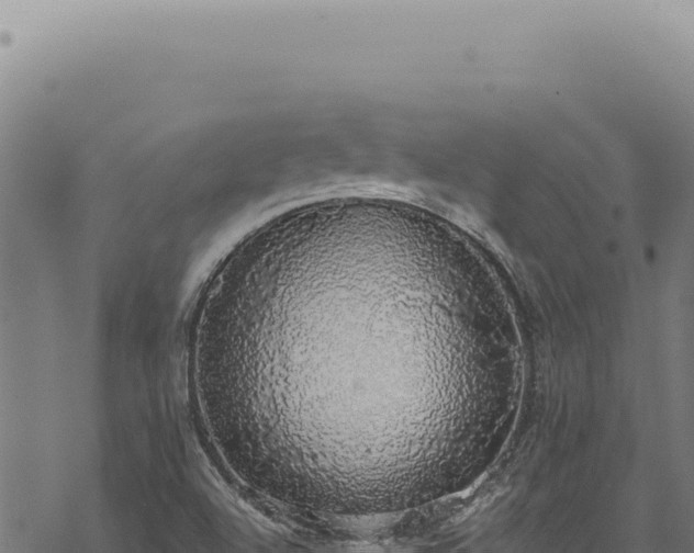 X0000068841504200605121353