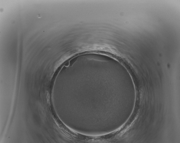 X0000068841505200605121353