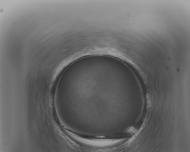 X0000068841506200605121353