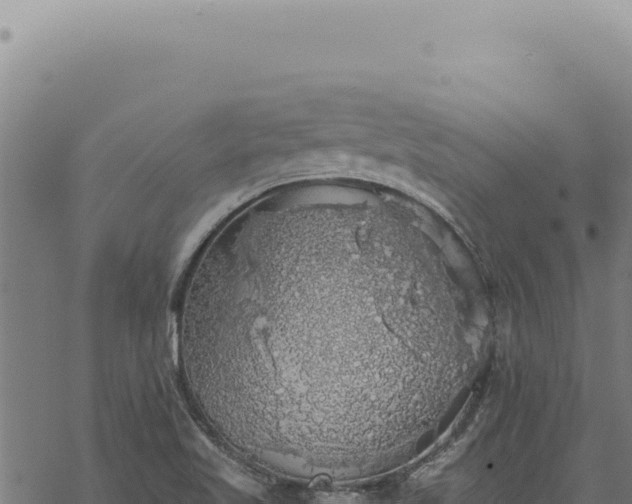 X0000068841509200605121353