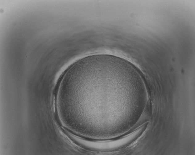 X0000068841510200605121353