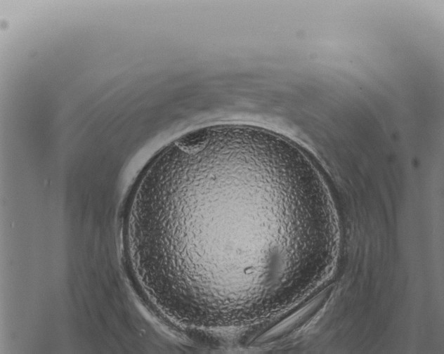 X0000068841511200605121353