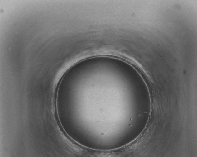 X0000068841512200605121353