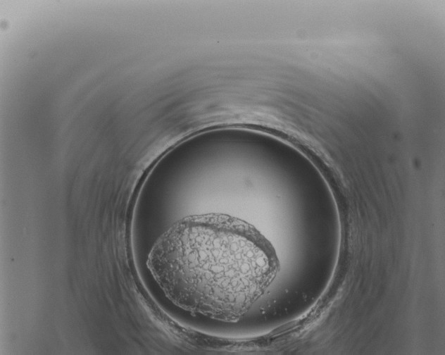 X0000068841513200605121353