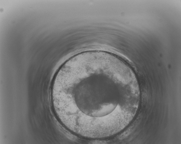 X0000068841514200605121353