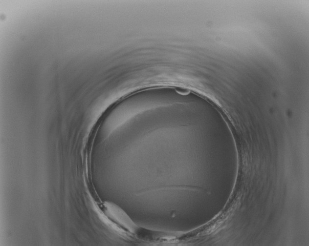 X0000068841515200605121353