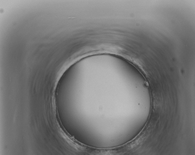 X0000068841516200605121353