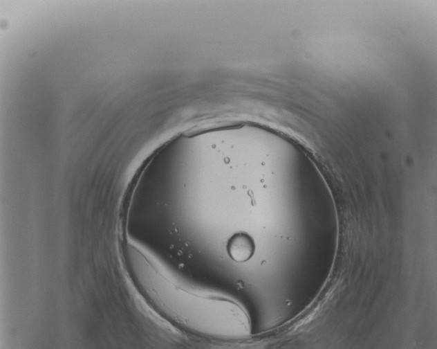 X0000068841518200605121353