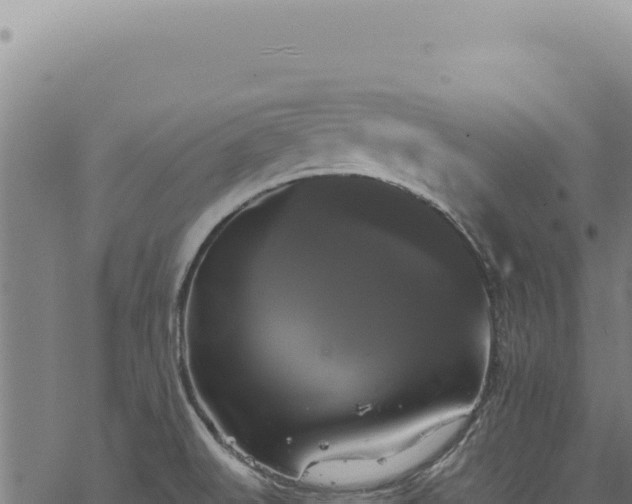 X0000068841519200605121353