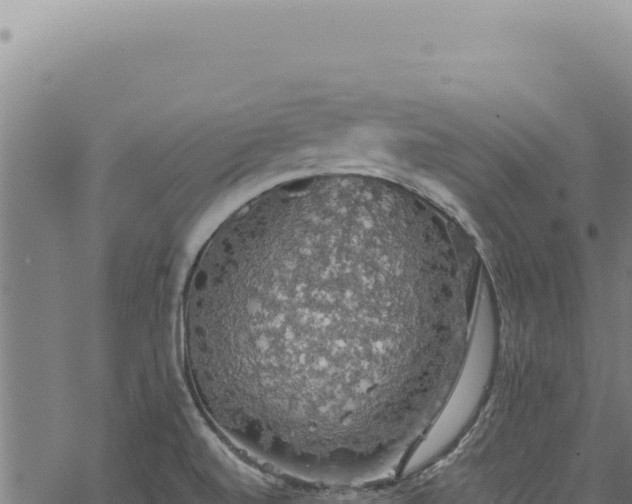 X0000068841520200605121353