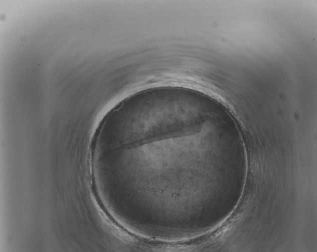 X0000068841522200605121353