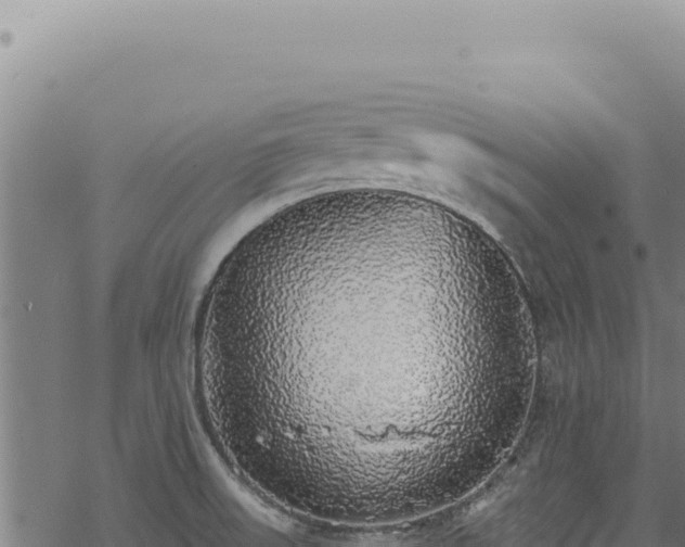 X0000068841523200605121353