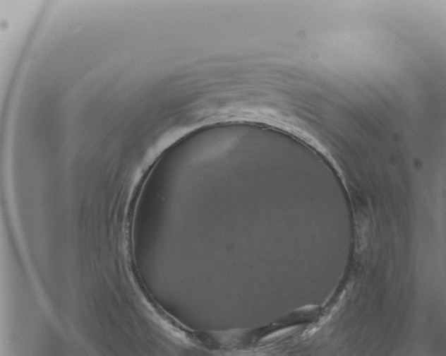 X0000068841525200605121353