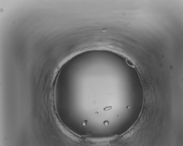 X0000068841526200605121353