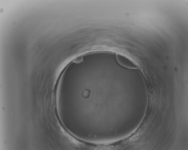 X0000068841527200605121353