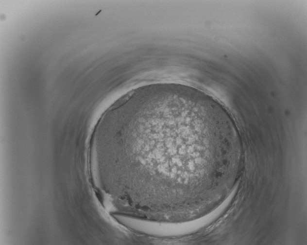 X0000068841528200605121353