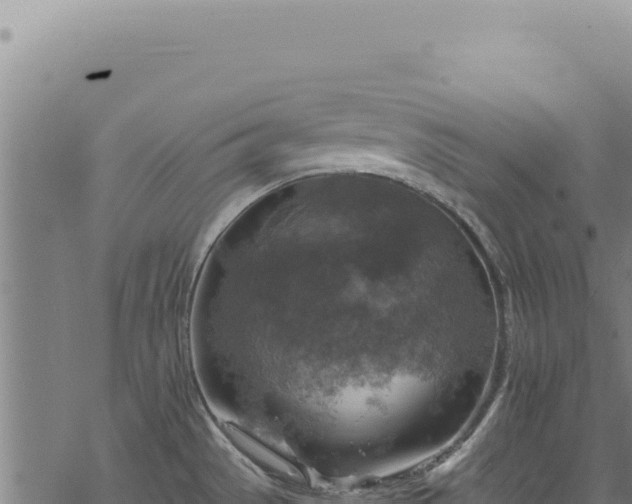 X0000068841529200605121353