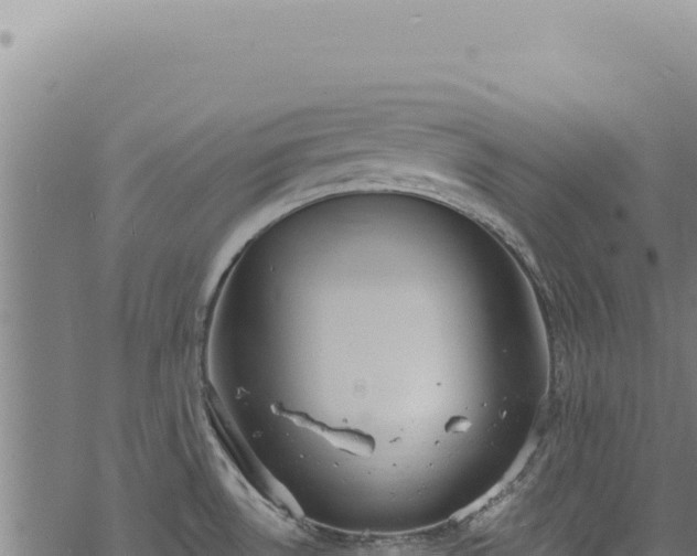 X0000068841530200605121354