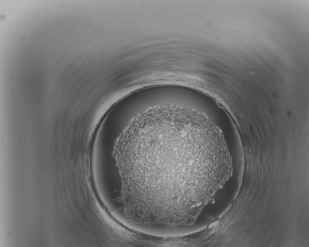 X0000068841531200605121354