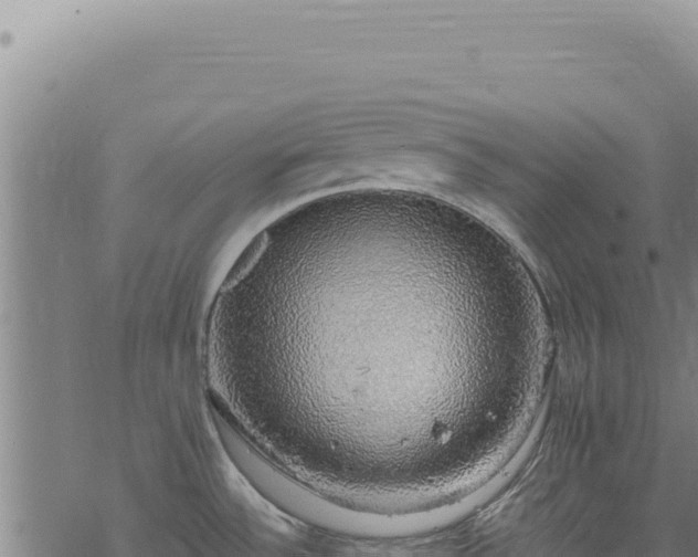 X0000068841532200605121354