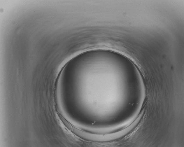 X0000068841534200605121354