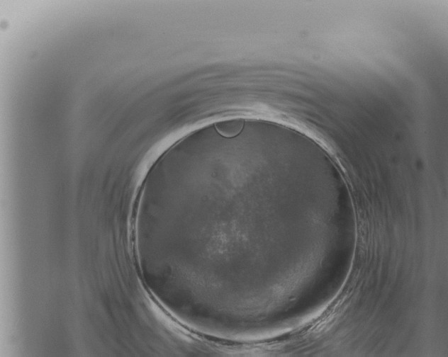 X0000068841535200605121354