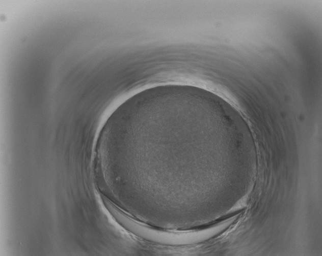 X0000068841536200605121354