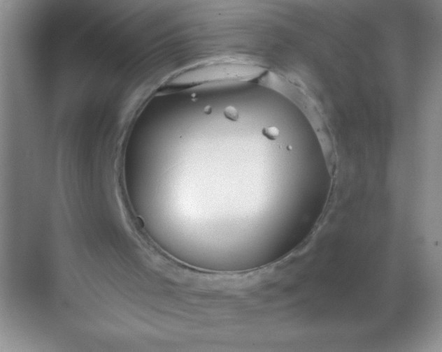 X0000068840001200605191937