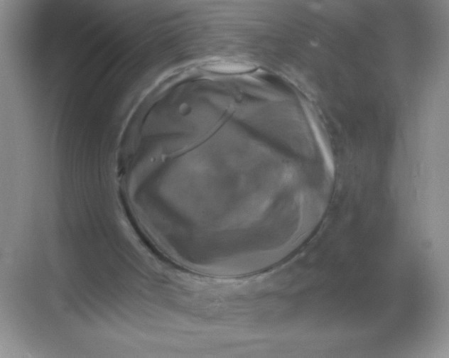 X0000068840002200605191937