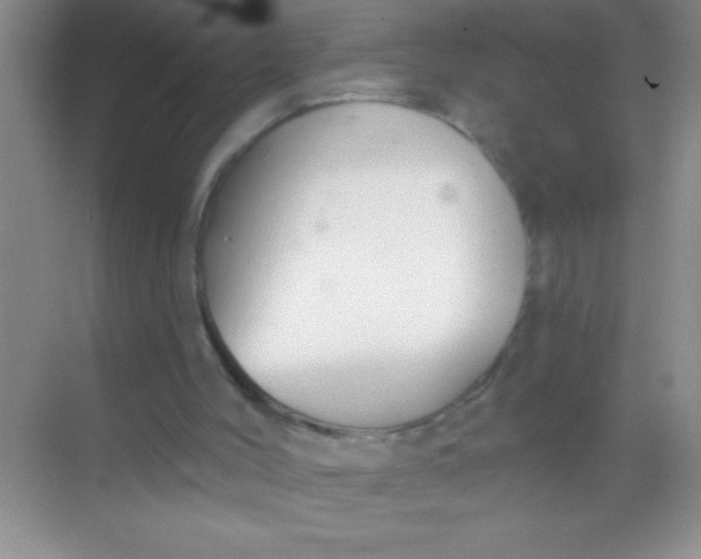 X0000068840004200605191937