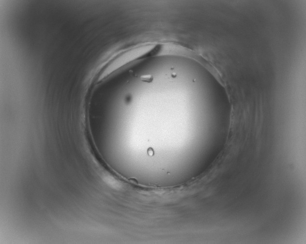 X0000068840005200605191937