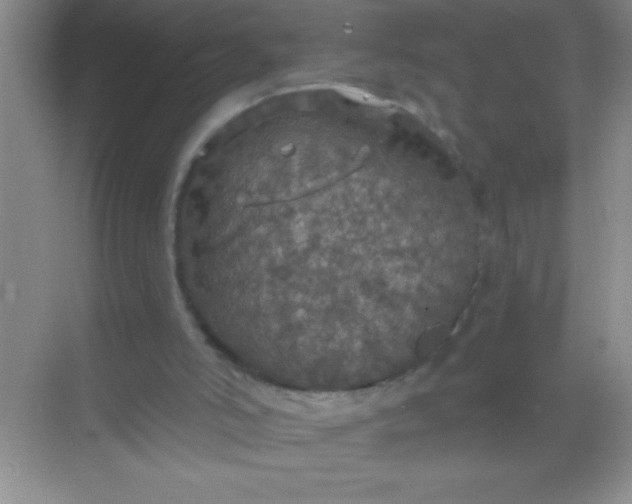 X0000068840006200605191937