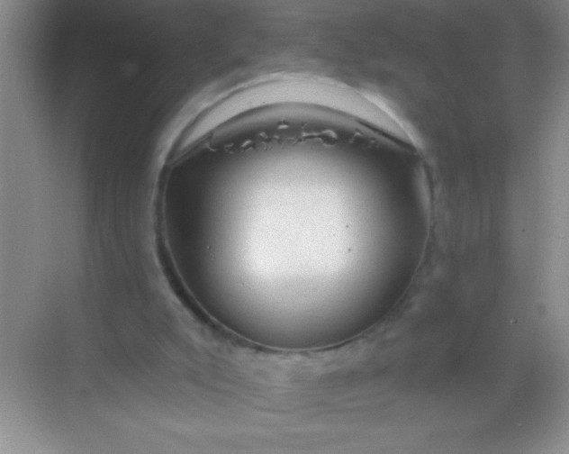 X0000068840007200605191937