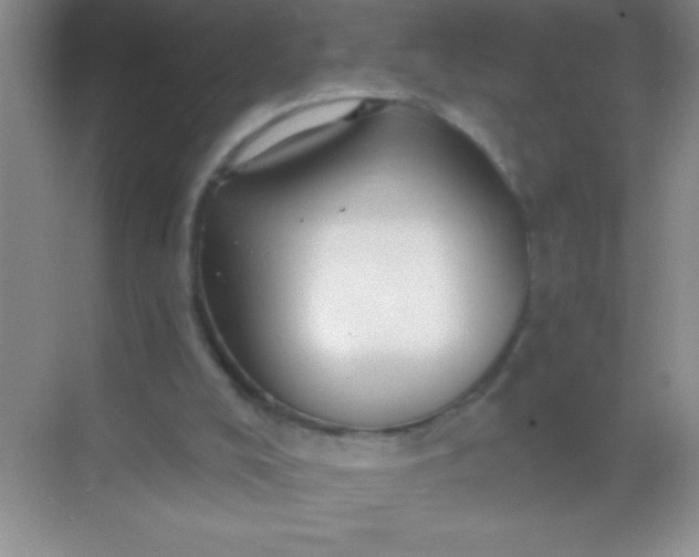 X0000068840008200605191937