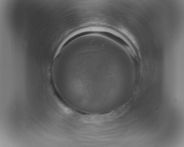 X0000068840009200605191937